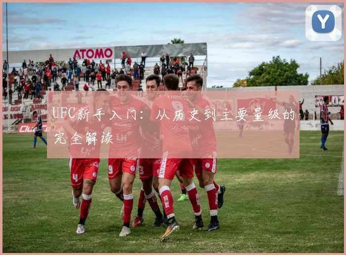 UFC新手入门:从历史到主要量级的完全解读