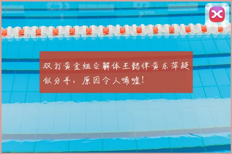 双打黄金组合解体王懿律黄东萍疑似分手,原因令人唏嘘!