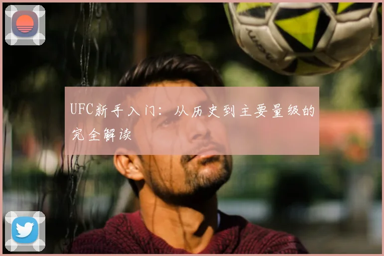 UFC新手入门:从历史到主要量级的完全解读