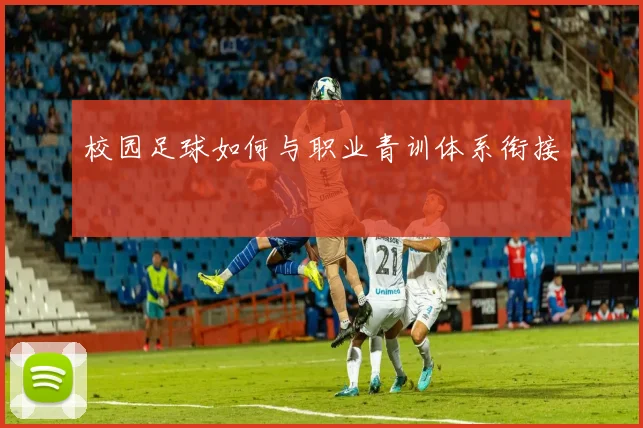 校园足球如何与职业青训体系衔接