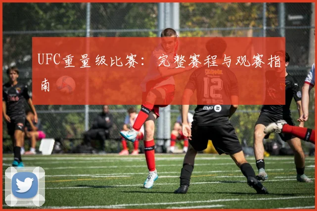 UFC重量级比赛:完整赛程与观赛指南
