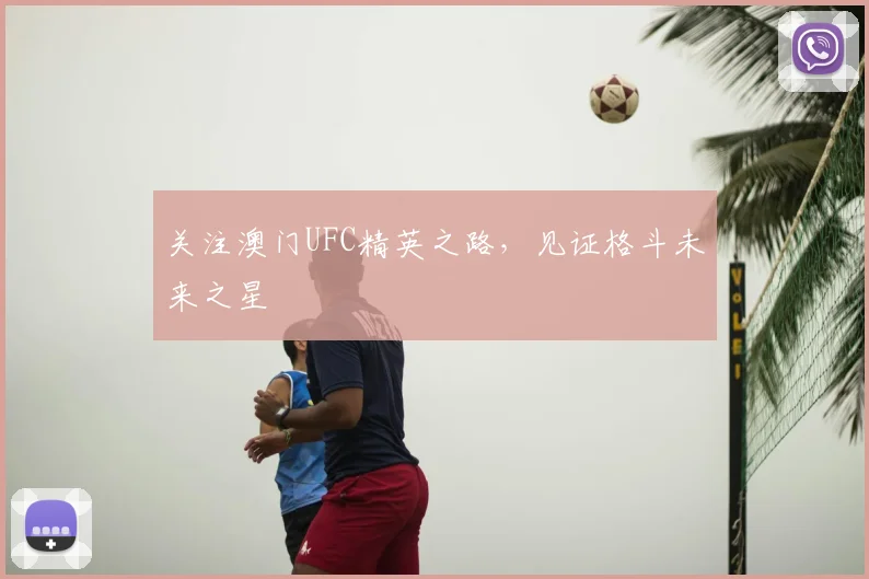 关注澳门UFC精英之路，见证格斗未来之星