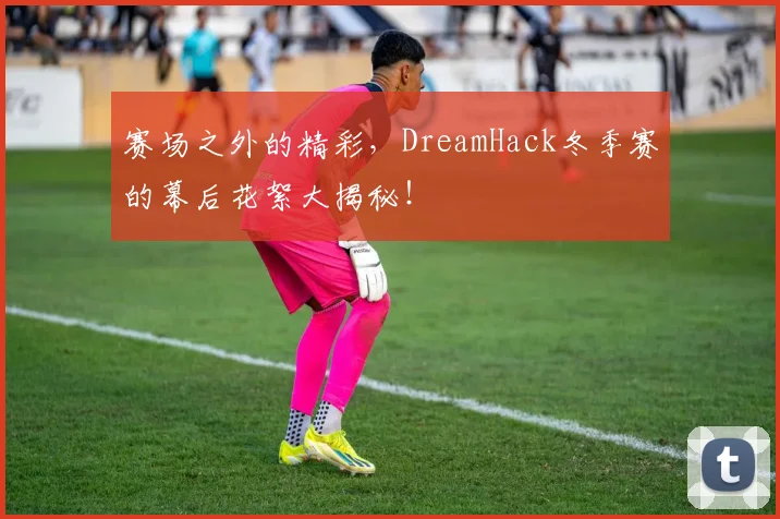 赛场之外的精彩,DreamHack冬季赛的幕后花絮大揭秘!