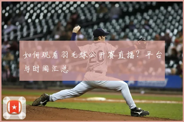 如何观看羽毛球公开赛直播?平台与时间汇总