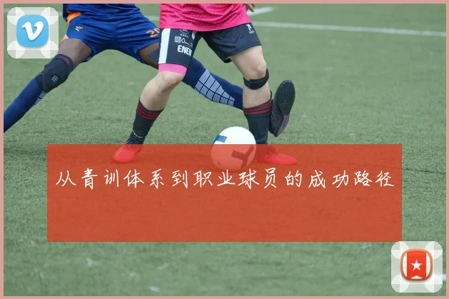 从青训体系到职业球员的成功路径