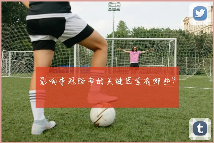 影响夺冠赔率的关键因素有哪些？